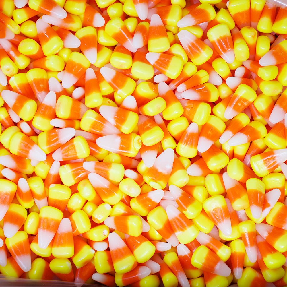 Jelly Belly Candy Corn 10lbs - 1 Bag