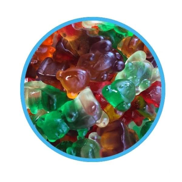 Canada Candy Co Jumbo Assorted Gummi Grizzly Bears 2kg Candy District
