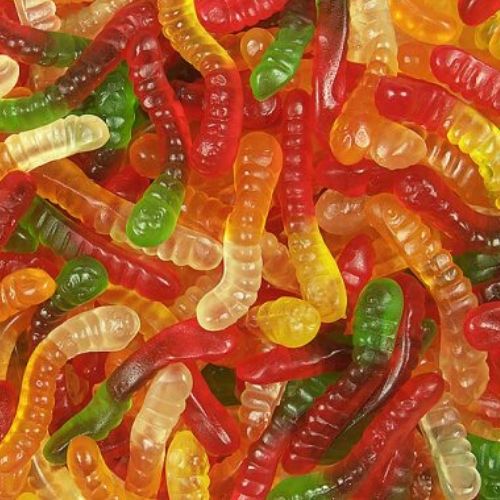 Koala Gummi Worms Gummy Candies-Bulk Candy | Candy District